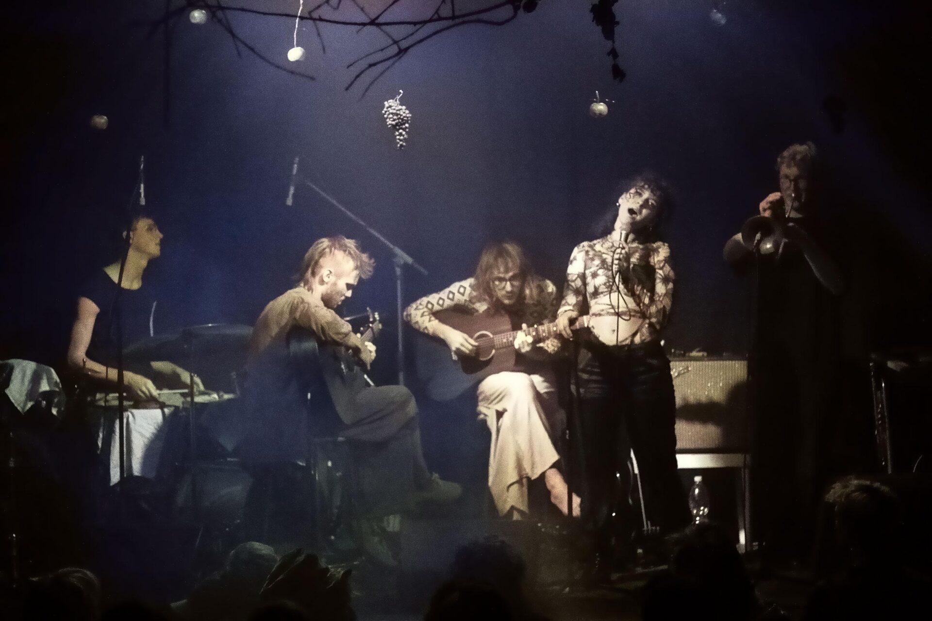 Muel / Avant-Folk Jazz (AT)